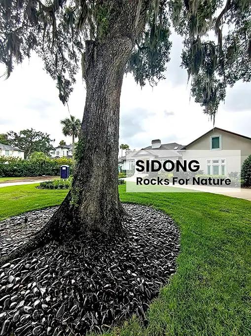 SIDONG 10 LB Black River Rocks, 0.3-0.5 Inches High Polished Pebbles for Indoor Plants, Aquarium Rocks Used in Fish Tank, Decorative Stones for Plants, Vases, Home Décor, Crafting, Garden Landscaping by GreenHaven Gardens