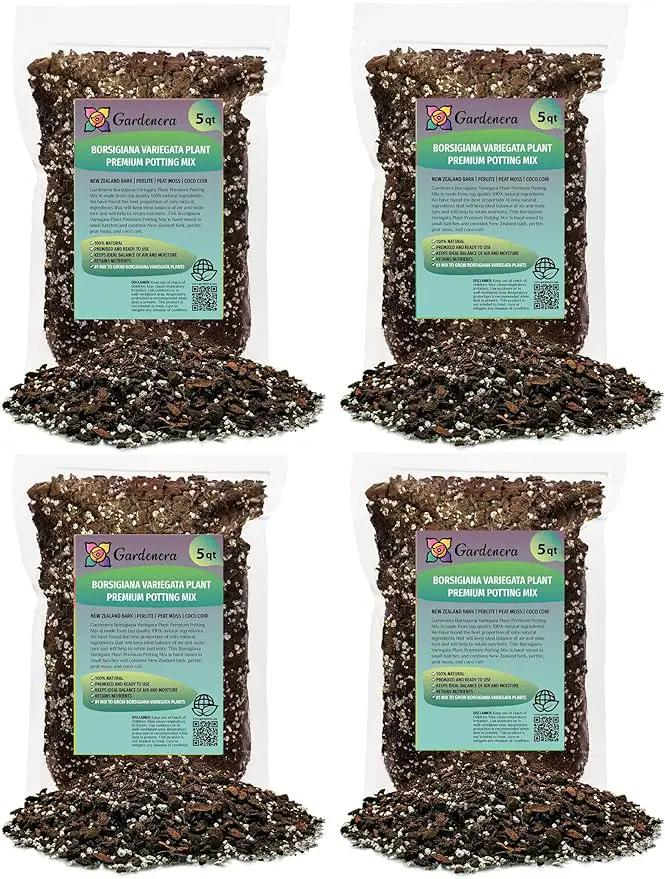 Premium Monstera Borsigiana Soil Mix - Trusted by Horticulture Experts for Strong and Healthy Plants by Gardenera - 20 Quart (4 Bags of 5 Quart) by GreenHaven Gardens