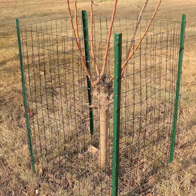 Black PVC Coated Welded Wire Fence 36 Inch x 50 Foot, 2 Inch x 3 Inch 16GA, Garden Border Fencing Roll Vinyl Coating Metal Wire Mesh for Yard Vegetable Plant Protection Poultry Netting by GreenHaven Gardens
