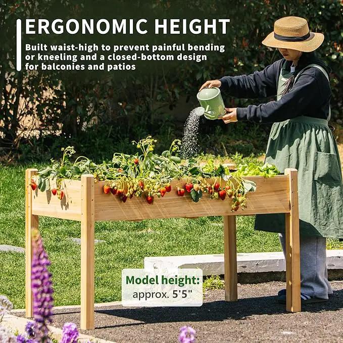 Premium Fir Wooden Raised Garden Bed with Four Legs for Backyard and Balcony Gardening,Suitable for Indoor and Outdoor use,49.5''×23.5''×30'' by GreenHaven Gardens