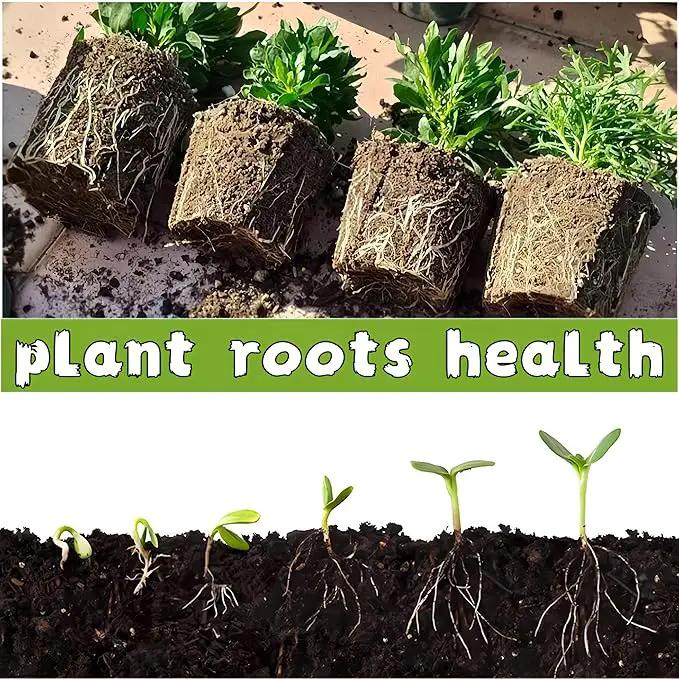 240 Cells Peat Pots Seed Starter Tray 24 Packs Biodegradable Seedling Pots Germination Trays Peat Pot for Seedling Organic Seed Starting Trays kit with 24 Labels 2 Transplant Tools by GreenHaven Gardens
