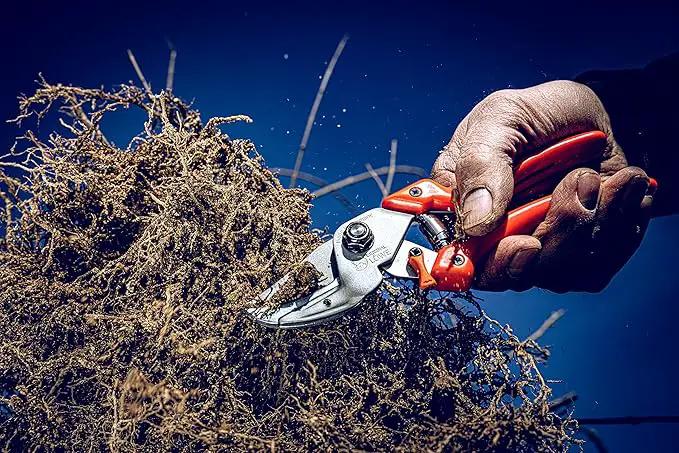 Original LÖWE Profi Anvil Prunner Garden Tools 8.107 with Bypass Geometry | Robust & Sharp Hedge Trimmer | Use as Pruners, Garden Shears, Handheld, Pruning Shears for Gardening | Made in Germany by GreenHaven Gardens