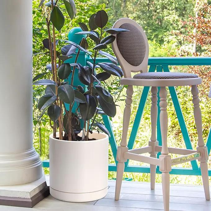 D'vine Dev 10 Inch Ceramic Planter Pot with Drainage Hole and Saucer, Indoor Cylinder Round Planter Pot, Oatmeal, 94-O-E-8 by GreenHaven Gardens