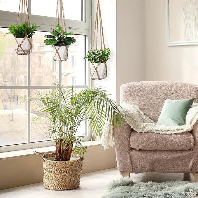 YIBOT 3 Pack Macrame Plant Hanger Indoor Hanging Planter Basket with 3 Hooks, 35"/29"/23" Hang Flower Pot Plant Holder for Indoor Outdoor Decorations, Brown (POTS NOT Included) by GreenHaven Gardens