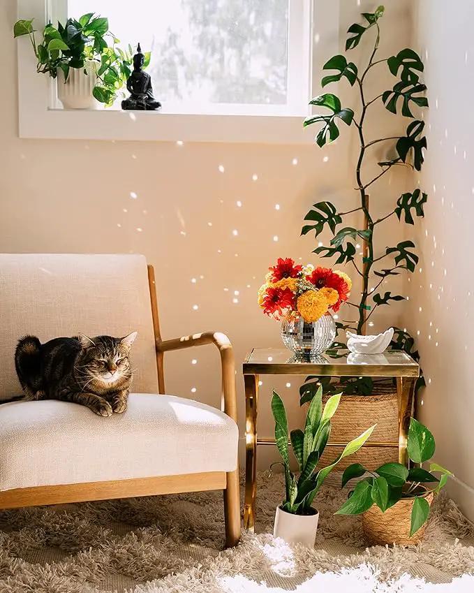 Hanging Disco Ball Planter 8" - with Acrylic Stand and Macrame Plant Hanger - Home Décor, Room Décor, Mirror Disco Planter, Disco Decor (6" with White Hanger, Flat Base) by GreenHaven Gardens