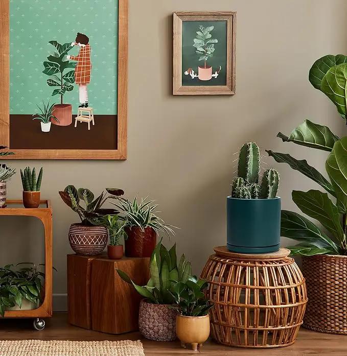 D'vine Dev 8 Inch Ceramic Planter Pot with Drainage Hole and Saucer, Indoor Cylinder Round Planter Pot, Teal, 94-O-D-9 by GreenHaven Gardens