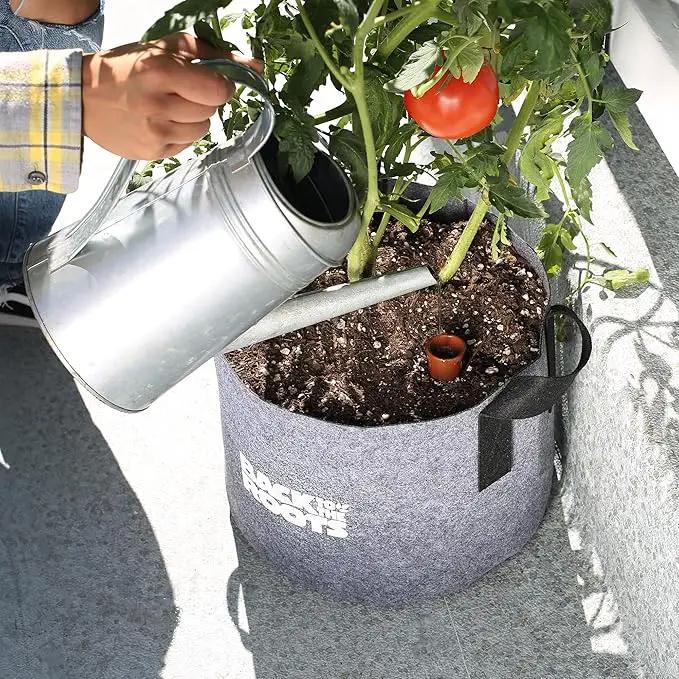 Back to the Roots Self-Watering Terracotta Olla Pot, 700mL Provides 1 Week of Precision Watering by GreenHaven Gardens