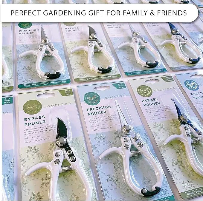 Plant Pruning Shears Garden Trimming Scissors Precision Hand Pruner Herb Snips Flower Clippers Bonsai Trimmers Straight Sharp Blade Tapered Tip Ergonomic Handle Garden Tools (Classic Cream) by GreenHaven Gardens