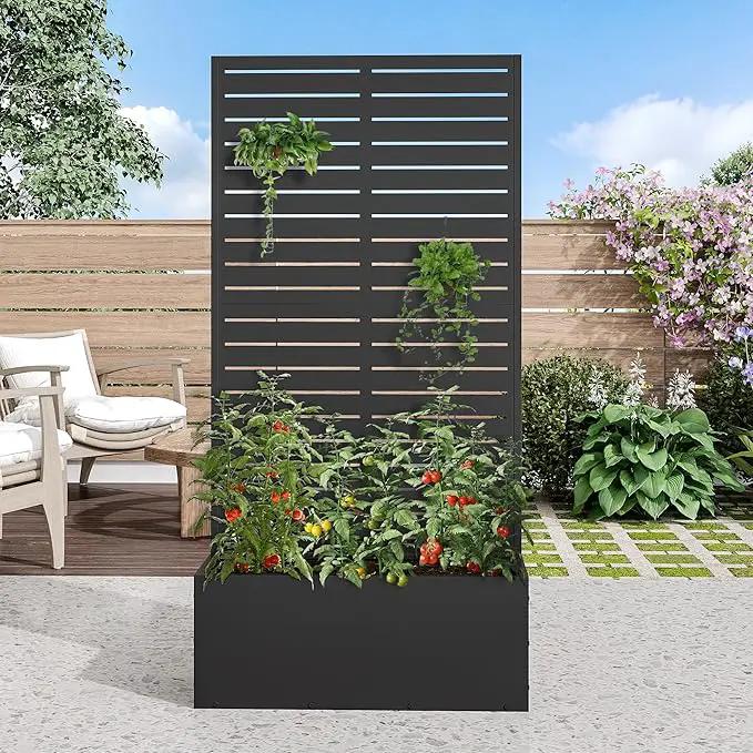 Casaphoria Metal Raised Garden Bed with Trellis, 59"x30"x12" Planter Box for Climbing Plants, Vegetables & Vines, Features Drainage Holes and Privacy Screen (Black-Louvered) by GreenHaven Gardens