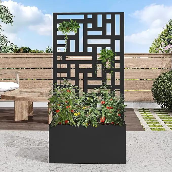Casaphoria Metal Raised Garden Bed with Trellis, 47"x24"x12" Planter Box for Climbing Plants, Vegetables & Vines, Features Drainage Holes and Privacy Screen (Black-Helen) by GreenHaven Gardens