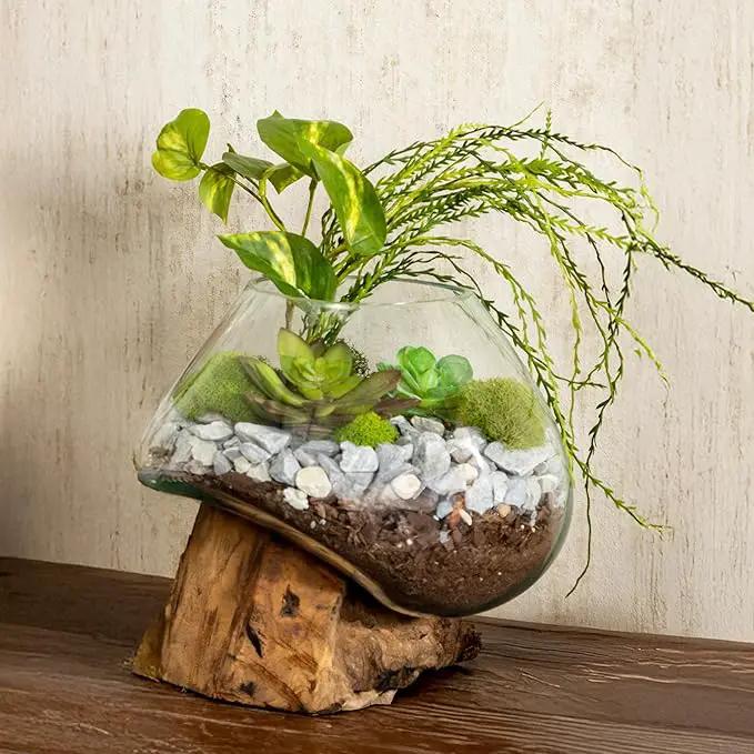 Cape Craftsmen 10" H Hand-Blown Blue Tinted Bubble Glass On Natural Teak Driftwood Terrarium | Home Décor Indoor Planter with Stand | Pot for Succulent and Plants by GreenHaven Gardens