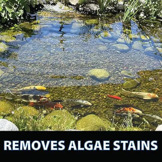 CrystalClear ClarityMax, All-in-One Pond Clarifier Treatment, All-Natural Beneficial Bacteria & Enzymes Provide Max Clarity, Koi Fish & Pet Safe, Algae Stain Remover, Crystal Clear Water Garden 2.5LB by GreenHaven Gardens
