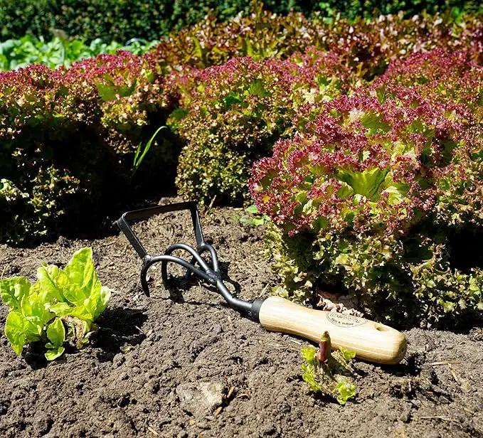 DeWit Culti-Weeder with Short Handle by GreenHaven Gardens