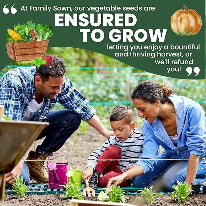 Herb Seeds | 5 Invidiual Packs | 2025 Season | Non-GMO | Basil, Dill, Mint, Parsley & Thyme! | for Planting Indoor & Outdoor | by Family Sown by GreenHaven Gardens
