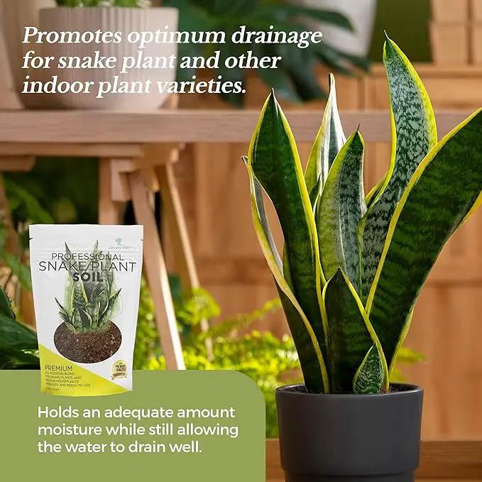 Professional Snake Plant Soil | Large 2.2 Quarts Ready to Use for Snake Plants | Peat Moss, Coco Coir, Perlite, Dolomite | Made in USA by GreenHaven Gardens