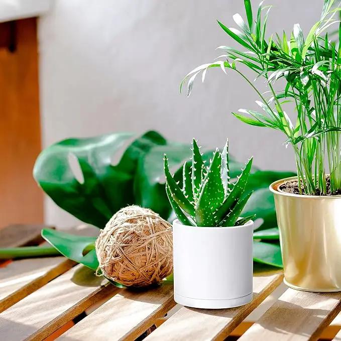 D'vine Dev 2 Pack 4.5 Inch Modern Plastic Plant Pots, Small Garden Planters for Plant with Drainage Holes and Saucers, White Color, 74-Z-F-1 by GreenHaven Gardens