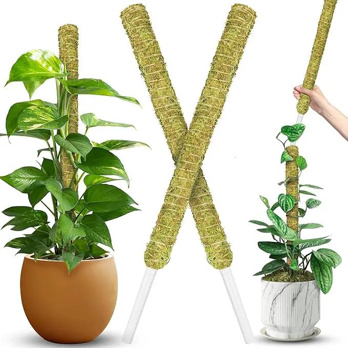 DUSPRO Natural Stackable Moss Pole for Plants Monstera, Forest Moss Sticks, Monstera Plant Support, Handmade Plant Stakes for Indoor Plants for Potted Plant to Grow Upward 02 pcs 22'' by GreenHaven Gardens