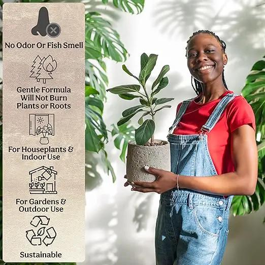 All-in-One Complete Organic Plant Food, Indoor Plant Fertilizer, for Houseplants, Organic Fertilizer for Vegetable Gardens, 11 Formulated Single Servings Feeds 22 gal Fast and Slow Release by GreenHaven Gardens