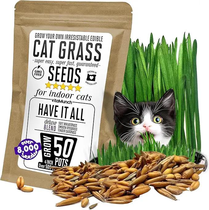 Cat Grass Seeds Deluxe Blend – Tender, Smooth and Chonky – Grows 50 Pots of Fresh Cat Grass for Indoor Cats – Easy & Fast to Grow Bulk Rescuer's Pack Grows 600 Square inches of Edible cat Grass by GreenHaven Gardens