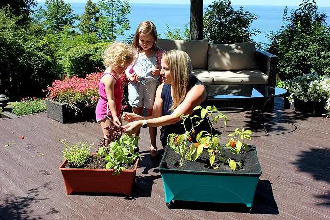 Emsco Group 2360 Little Pickers Raised Bed Children’s Improved Aeration – Mobile Unit with Casters – Teaches Kids Self Watering Grow Box, Teal by GreenHaven Gardens