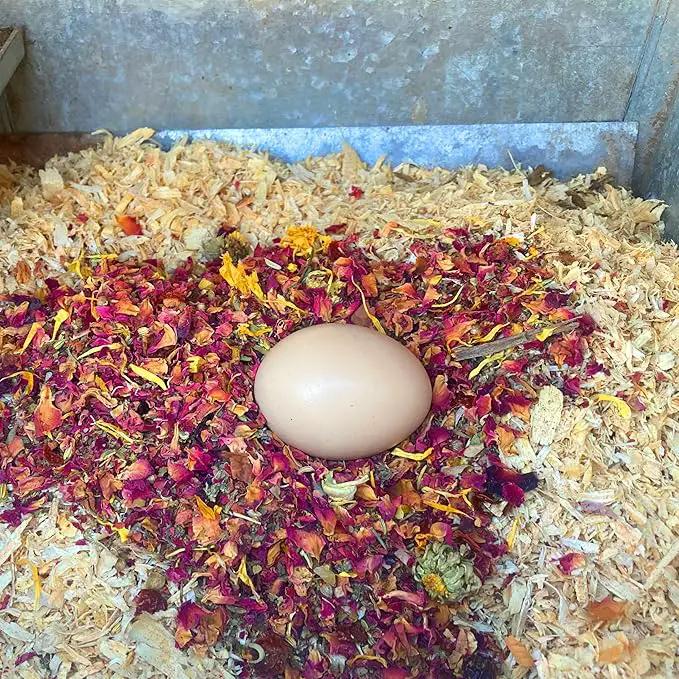 WormBGone Non-GMO Backyard Chicken Nesting Herbs (1 Pound) by GreenHaven Gardens
