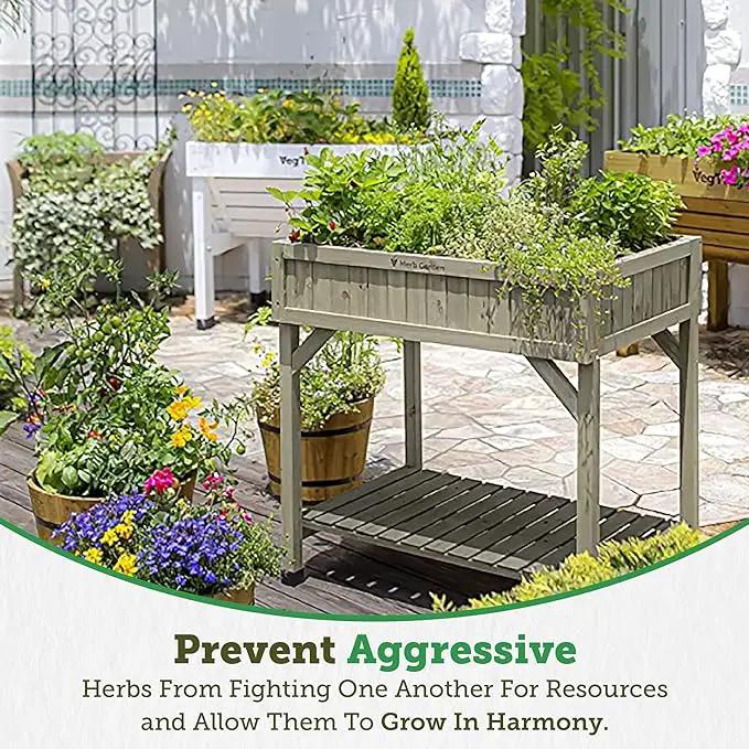 VegTrug 8 Pocket Herb Garden, Wooden Herb Planter with Herb Snips, Gray Wash by GreenHaven Gardens