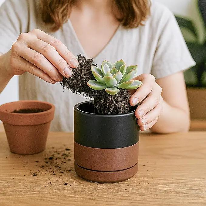 D'vine Dev Set of 2 Plants Pots, 3.5 Inch Ceramic Planter Pot for Plants with Drainage Hole and Saucer, Black/Speckled Tan, 94-V-A-7 by GreenHaven Gardens
