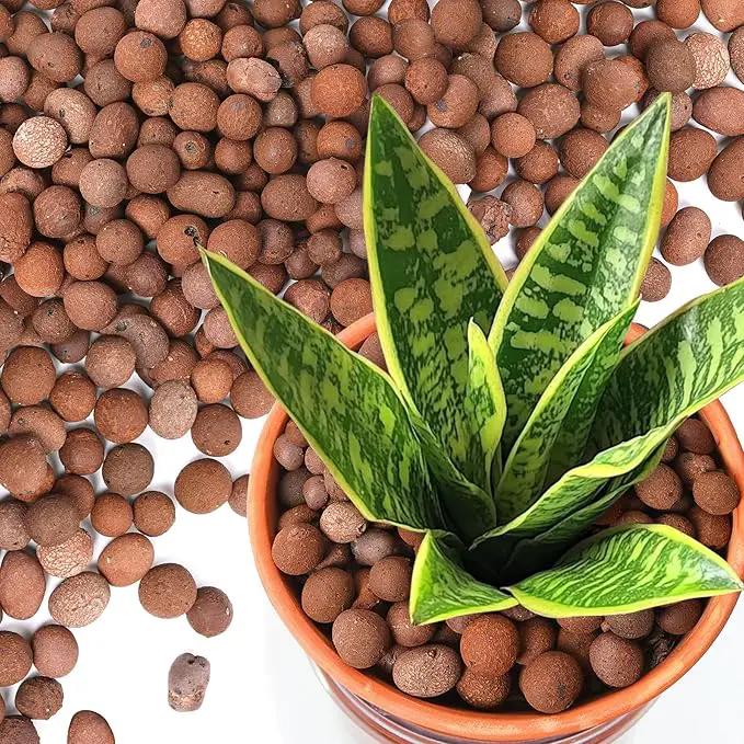 T4U Leca Clay Pebbles for Plants, 10 LBS 10-20 mm Clay Balls for Indoor Plants, Natural Clay Pebbles for Orchid Potting Mix, Hydroponic, Leca Pots, Plant Drainage, Garden Soil by GreenHaven Gardens