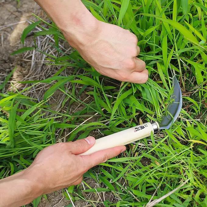 KAKURI Japanese Weeding Sickle Garden Tool 4.7" [Serrated Blade] Made in Japan, Garden Hand Weeder for Weed Removal, Razor Sharp Japanese Stainless Steel Blade by GreenHaven Gardens