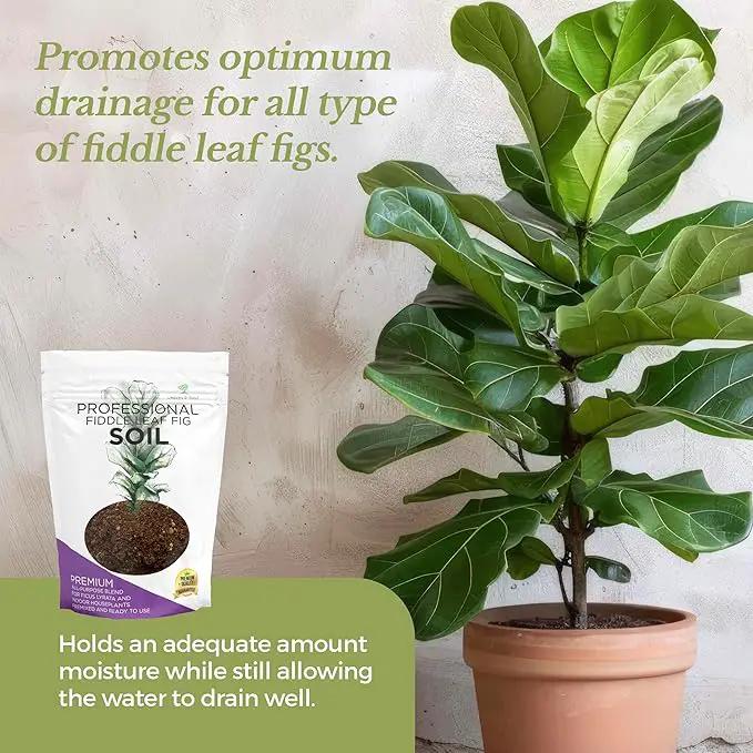 Large Bag Houseplant Fiddle Leaf Fig Soil Premium All Purpose Blend | Ready to Use for Indoor Houseplants | Peat, Sawdust, Course Sand and Pinebark | Extra Large 8.2 Quarts | Made in USA by GreenHaven Gardens