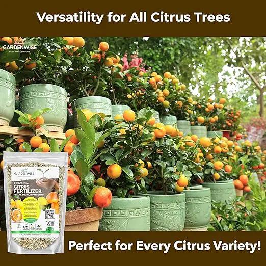 Professional Citrus Fertilizer + Vital Micronutrients; Perfect Balanced NPK for All Citrus; for Indoor and Outdoor Plants; Orange, Lime, Avocado and Lemon Tree Fertilizer (2 QUARTS) by GreenHaven Gardens