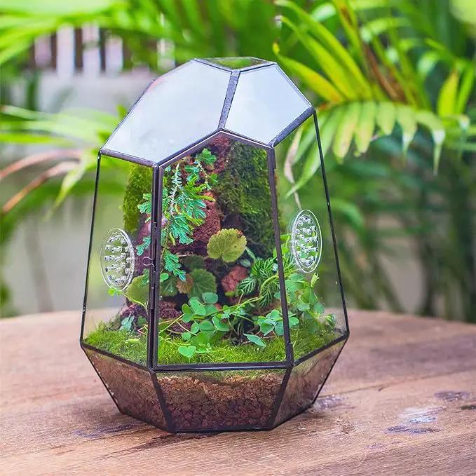 NCYP Closed Geometric Glass Enclosure with Front Opening Door & 2 Vent Holes for Insects, Succulent, Cacti - 7.9"x6.9"x9.8" Black Irregular Terrarium Planter - Home Garden Tabletop Decor (No Plants) by GreenHaven Gardens
