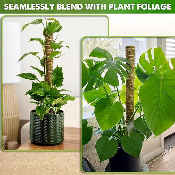 DUSPRO Natural Stackable Moss Pole for Plants Monstera Potted Plant Stakes for Indoor Plants Extendable Plant Pole Moss Sticks for Plants Climbing Vine Supporting Monstera Trellis 4Pcs 22'' by GreenHaven Gardens