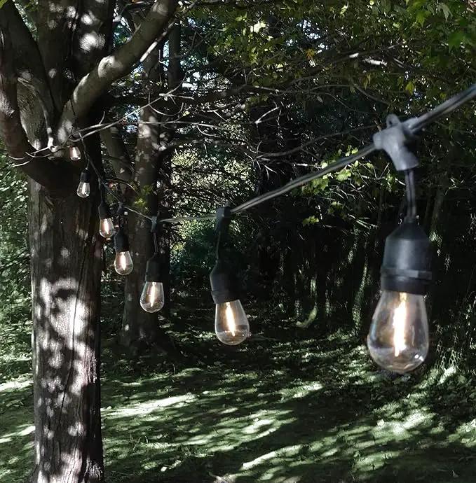Hometown Evolution, Inc. 50 Foot E26 LED Outdoor Commercial String Lights with 25 Suspended Sockets and S14 LED Filament 1 Watt Bulbs by GreenHaven Gardens