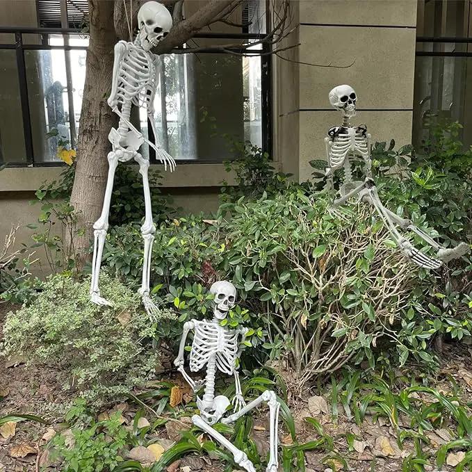 5.4ft/165cm Halloween Skeleton - Life Size Skeleton Full Body Realistic Human Bones with Posable Joints for Halloween Pose Skeleton Prop Decoration (5.4Ft&3Ft) by GreenHaven Gardens