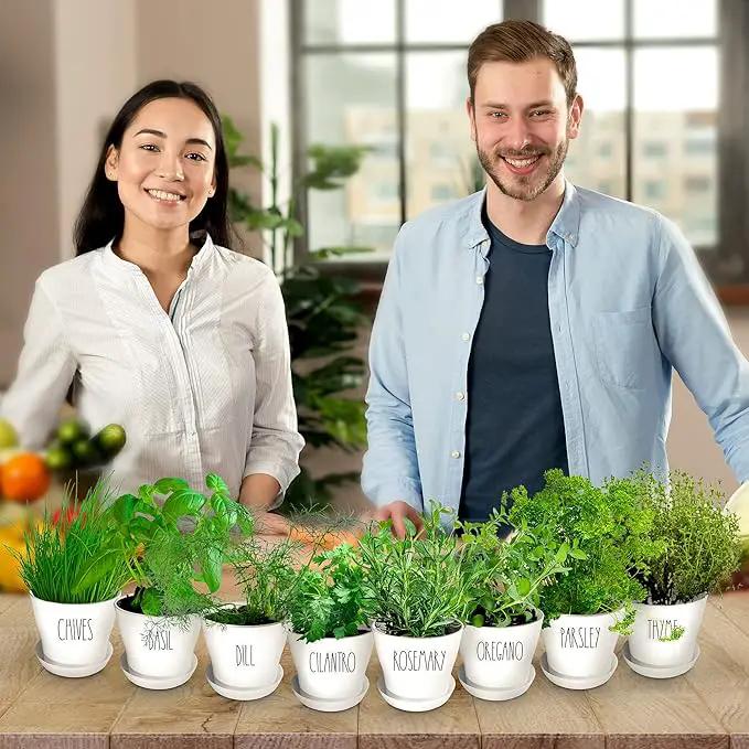 Deluxe Indoor & Outdoor Herb Garden Kit – 8 or The Most Popular Culinary Herbs with Pots & Soil for Windowsill or Patio Growing by GreenHaven Gardens