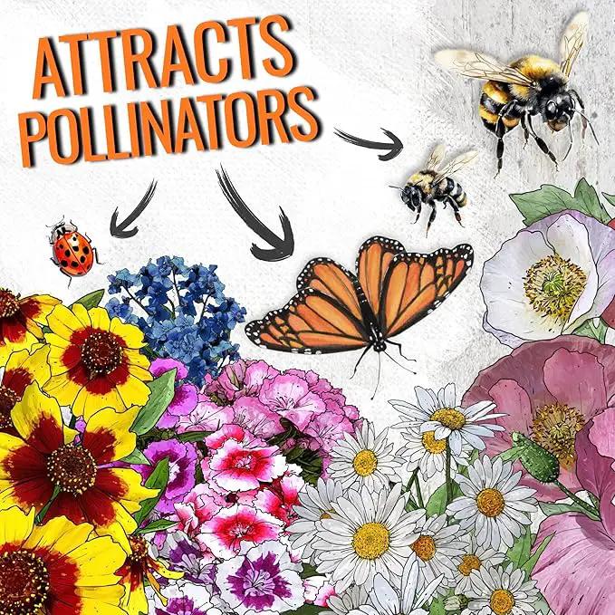 Seed Needs Partial Shade Wildflower Seed Mix for Planting | 5 Packs (1 Ounce Each) 14+ Varieties Open Pollinated Annual & Perennial Species | Flower Seeds Shade Tolerant | Bulk by GreenHaven Gardens