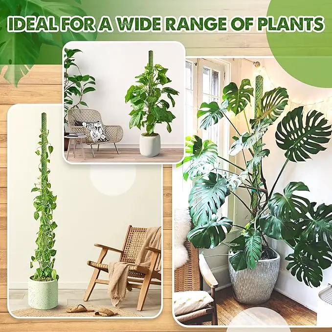 Duspro Green Stackable Mesh Moss Pole for Plants Climbing Vine Supporting Monstera Trellis, for Indoor Plants Extendable Plant Pole Moss Sticks, for Potted Plant Stakes 4Pack 71'' by GreenHaven Gardens