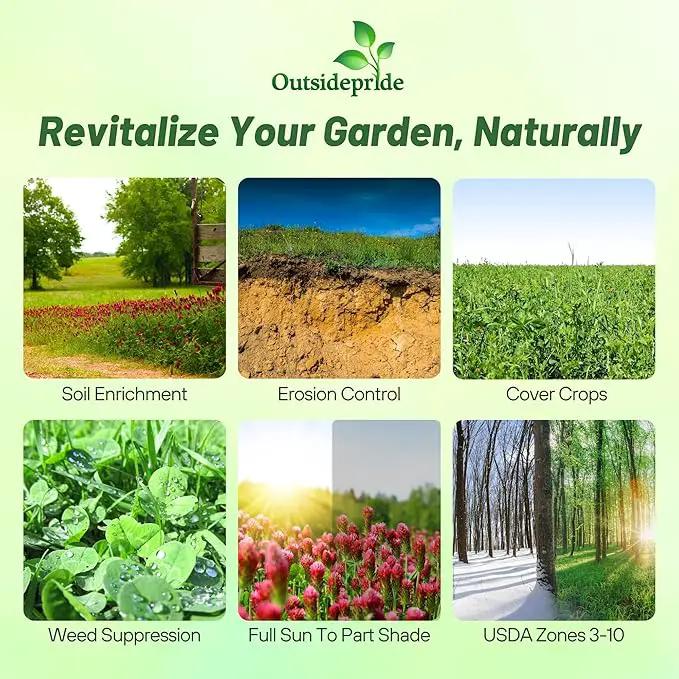 Outsidepride Gardenway Cover Crop Seeds - 10 lbs Nutrient-Rich Seed Mix for Soil Health Improvement & Home Gardens - Mixture of Triticale, Peas, Oats, Vetch, Annual Ryegrass, Crimson Clover by GreenHaven Gardens