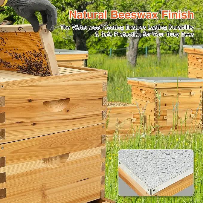 CREWORKS 10 Frame Bee Hive, 3 Layers Beeswax Coated Beehive Starter Kit with Frames & Foundations, Langstroth Bees Hives Box with Transparent Acrylic (Window Medium Box & 2 Deep Boxes) by GreenHaven Gardens