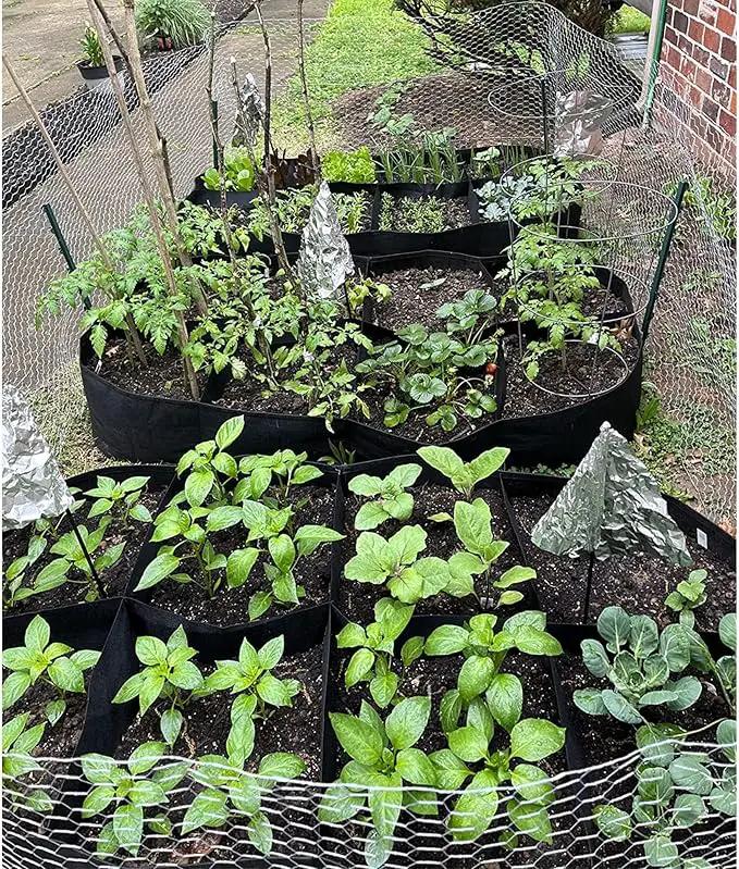 CJGQ Fabric Raised Garden Bed 6x3x1ft Garden Grow Bed Bags for Growing Herbs, Flowers and Vegetables 128 Gallon by GreenHaven Gardens