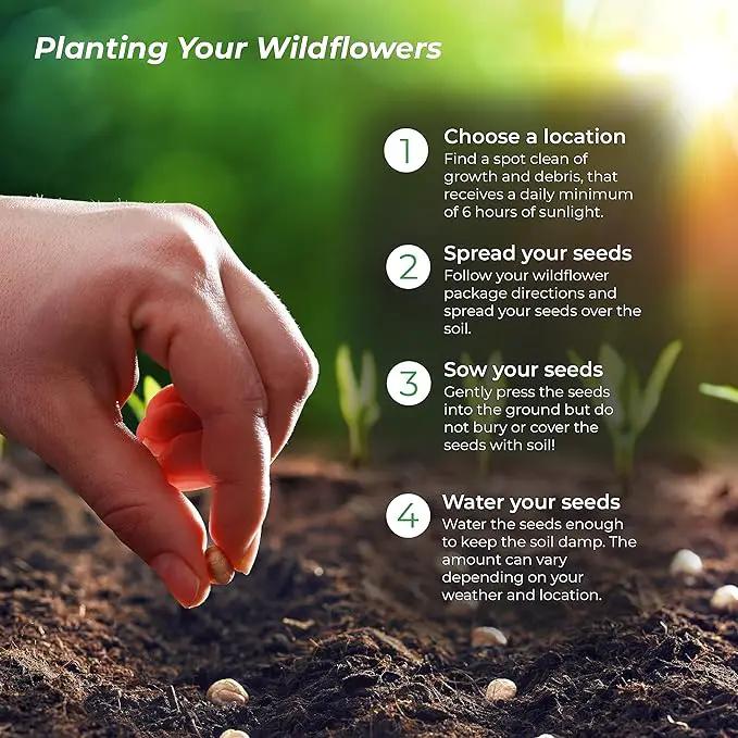 Created By Nature Maine Wildflower State Mix, 15 Flower Varieties, 50,000 Seeds by GreenHaven Gardens