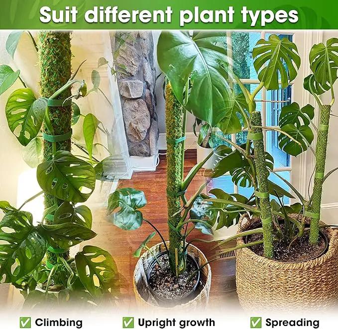 DUSPRO 42’’ Mesh Moss Pole for Plants, Tall Trellis for Climbing Monstera Plant Support, Sphagnum Moss Stick for Big Climbing Indoor Plant, Handmade Plant Stakes for Houseplant by GreenHaven Gardens