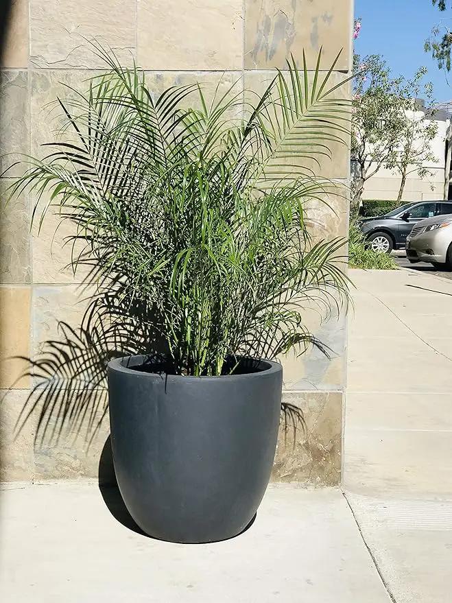 Kante 18 Inch Dia Round Concrete Planter, Indoor Outdoor Large Plant Pot with Drainage Hole and Rubber Plug for Home Patio Garden, Charcoal by GreenHaven Gardens