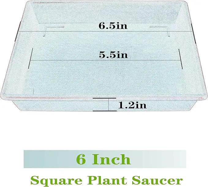 Square Plant Saucer 6 Inch 5 Pack6 8 12 14 16 18 20 Flower Pot No Holes Plant Drip Trays, Plant Trays for Pots Heavy Duty Plastic Plant Saucers for Indoors Outdoors by GreenHaven Gardens