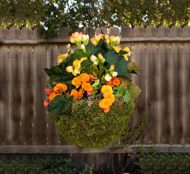 SuperMoss (29201) MossWeave Hanging Basket - Round, Fresh Green, Medium (14.5 Diameter)" by GreenHaven Gardens