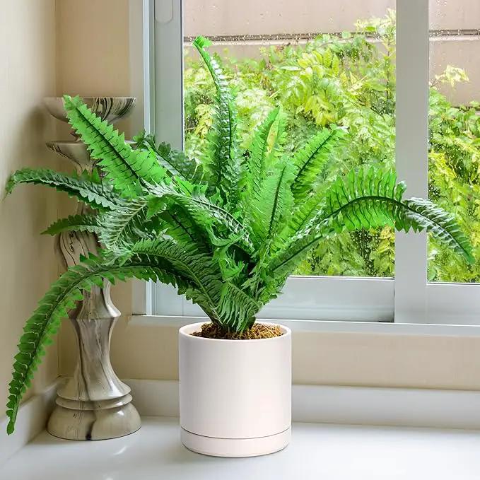 D'vine Dev 8 Inch Ceramic Planter Pot with Drainage Hole and Saucer, Indoor Cylinder Round Planter Pot, Oatmeal, 94-O-D-8 by GreenHaven Gardens