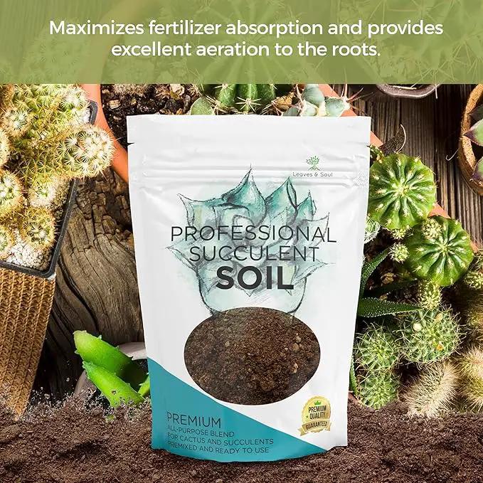 Succulent Soil Premium All Purpose Blend | Large 2.2 Quarts | Pre-Mixed Ready to Use for Cactus and Succulents | Canadian Peat, Course Sand, Pinebark | Made in USA by GreenHaven Gardens