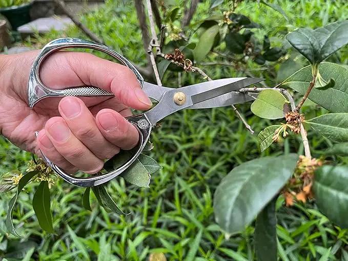 Indoor Plant Shears Garden Scissors, Flower Pruners Made of Japan SK5 Stainless Steel, Flowers Herbs and Plant Cutters, Clippers, Trimmers, Loppers, Bonsai Potted Plant Pruning Scissors by GreenHaven Gardens