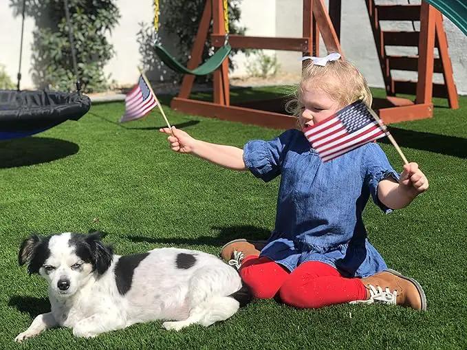 American Flags on Stick - Handheld Spearhead US Flag for 4th of July, Memorial Day Event Decorations - Patriotic Decor for Indoors & Yard - Wooden Stick, Cotton Fabric (4"X6" - 25 Pack) by GreenHaven Gardens